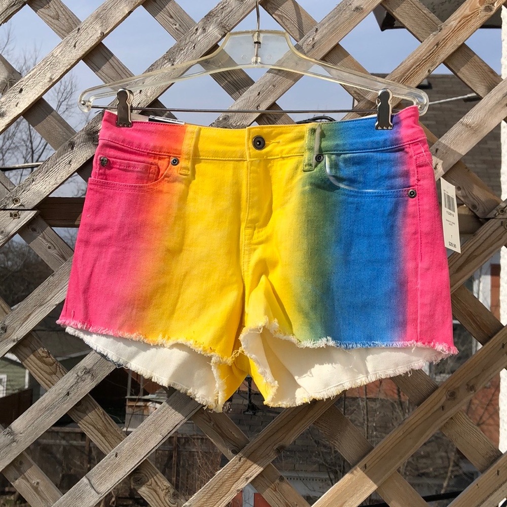 Rainbow Ombré  Shorts